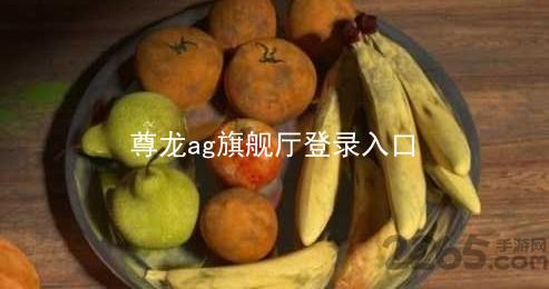 尊龙ag旗舰厅登录入口